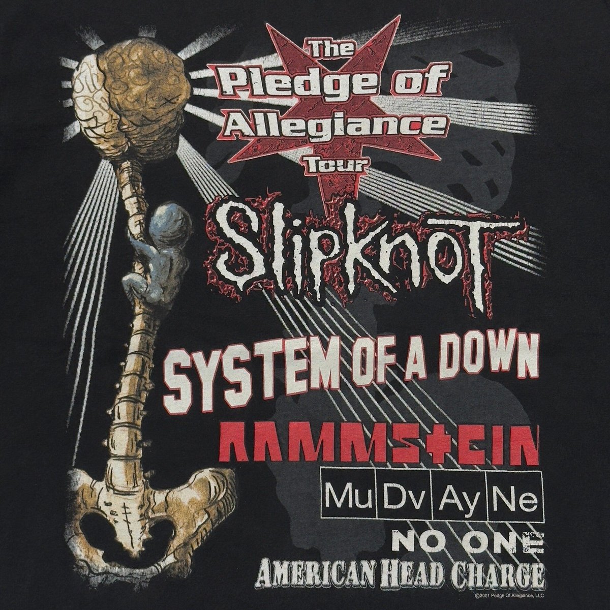 THE PLEDGE OF ALLEGIANCE TOUR 2001 SLIPKNOT SYS