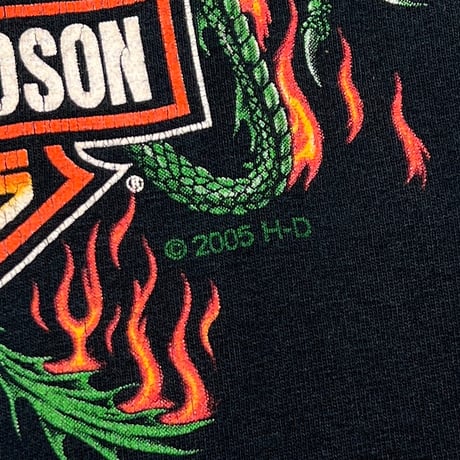 HARLEY DAVIDSON 2005 DRAGON FLAME LS XL 8166