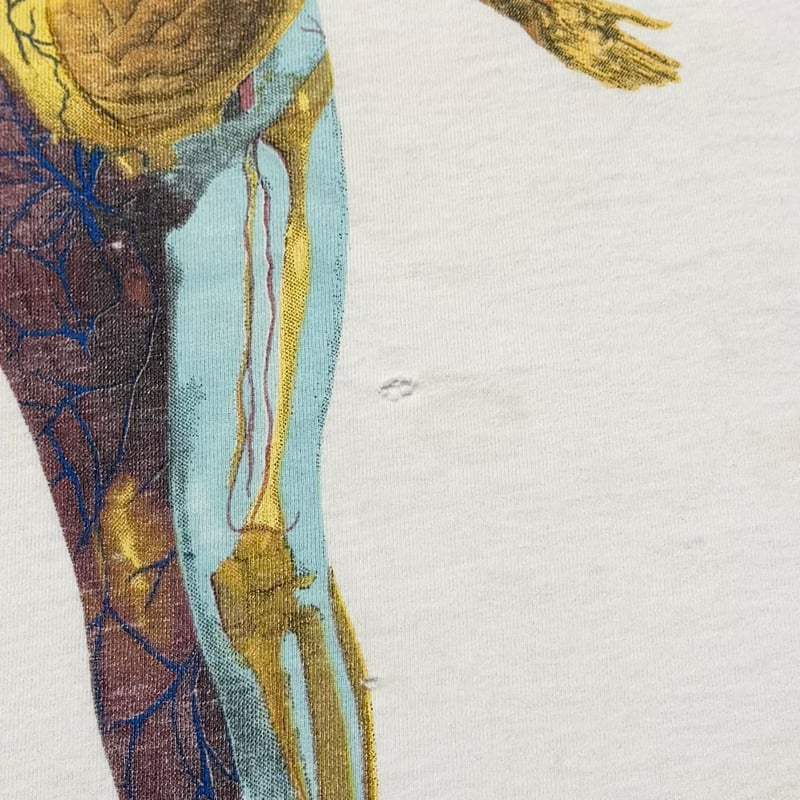 NIRVANA IN UTERO GIANT BY ANVIL XL 2343 | great