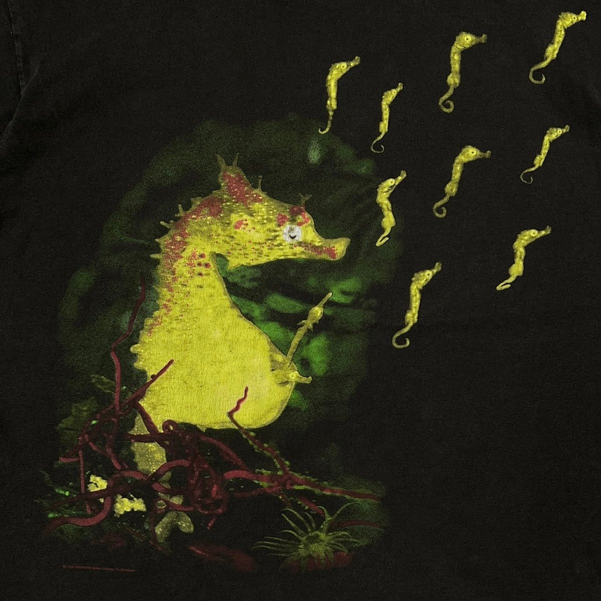 NIRVANA Seahorse タツノオトシゴ ニルヴァーナ Tシャツ 古着 Vintage Nirvana 