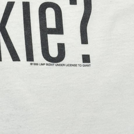 LIMP BIZKIT 1999 got nookie ? WHITE FITS XL 9084