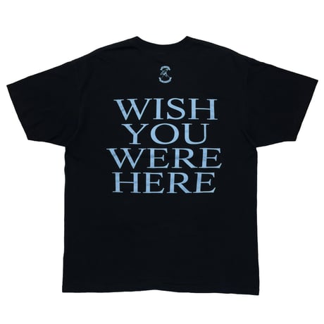 PINK FLOYD WISH YOU WERE HERE FITS XL 4052