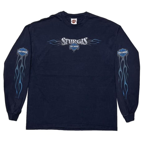 HARLEY DAVIDSON 2000 STUGIS BLUE ARM FLAMING SOUTH DAKOTA LS NAVY HANES XL 8734