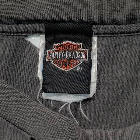 HARLEY DAVIDSON FLAME TAKE A RIDE IN THE COUNTRY ORWIGSBURG LS FADE XL 4282