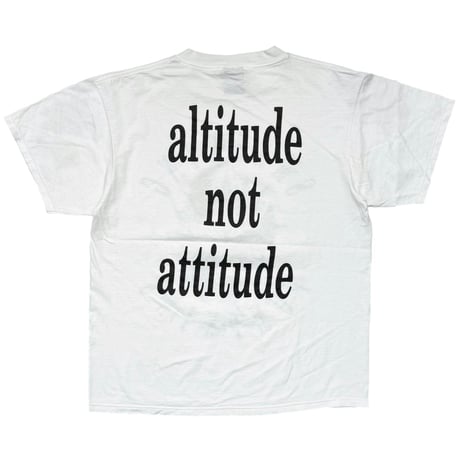 THE SMASHING PUMPKINS ATTITUDE NOT ATTITUDE GIANT BY TULTEX LARGE 4884