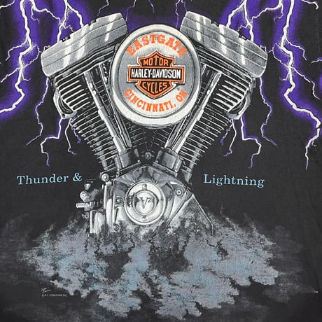 HARLEY DAVIDSON THUNDER & LIGHTNING OVP LARGE 3118