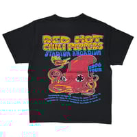 NIRVANA 00s SLIVER ANVIL XL 2584 | greatLAnd OSAKA