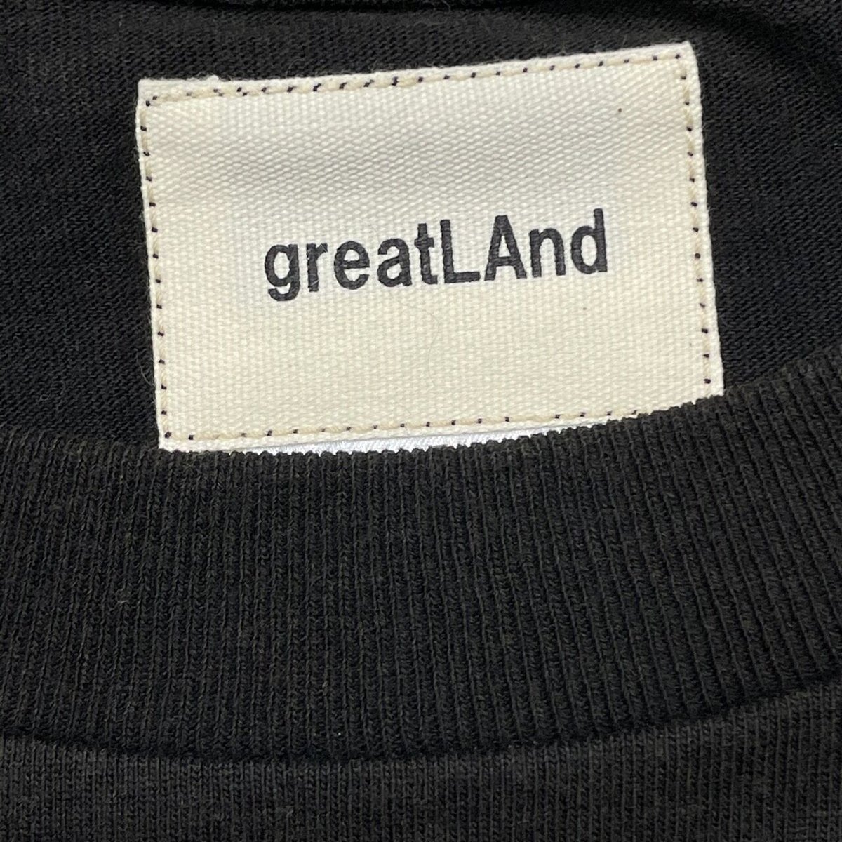 greatLAnd ORIGINAL VILLAIN L/S TEE | greatLAnd