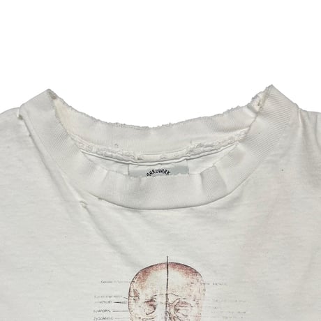 OLD & VINTAGE HUMAN SPECIMEN WHITE XXL 7556