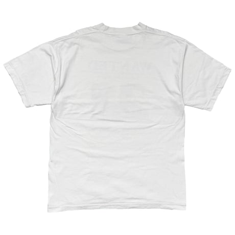 The Fugitive MOVIE PROMO WHITE LARGE 8784