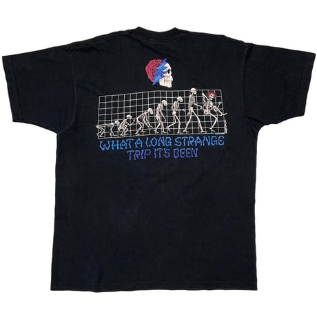 GRATEFUL DEAD What a Long Strange Trip It's Been LIQUID BLUE XL 2791
