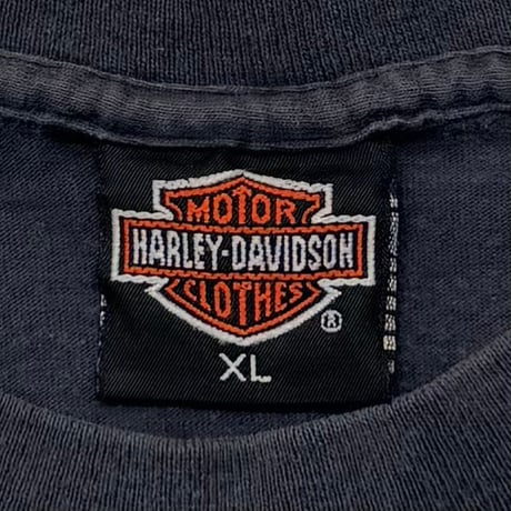 HARLEY DAVIDSON EAGLE & DRAGON WATERLOO IOWA XL 3755