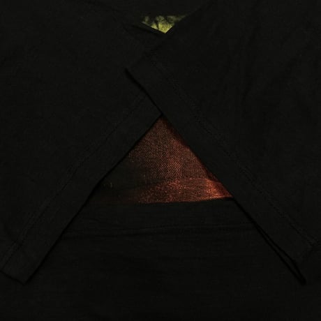 TIGER WOODS THE FUTURE OF GOLF RAP DESIGN XXL 1965