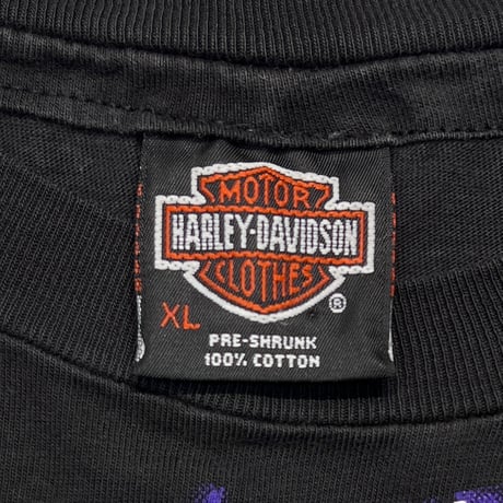 HARLEY DAVIDSON THUNDER AND LIGHTNING OVP XL 5581