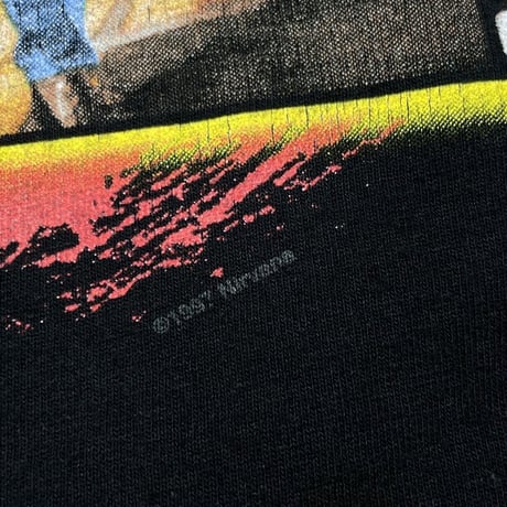 NIRVANA 1997 PHOTO ANVIL XL 8160