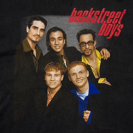 BACKSTREET BOYS MEMBER PORTRAIT WINTER LAND XL 3000