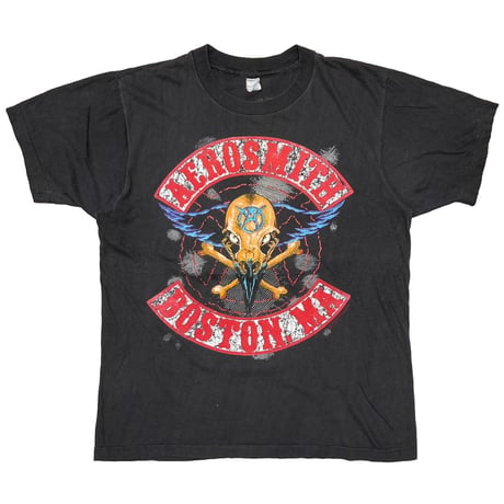 AEROSMITH PUMP BOSTON MA EURO LARGE 9509