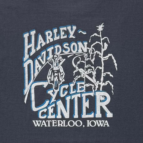 HARLEY DAVIDSON EAGLE & DRAGON WATERLOO IOWA XL 3755