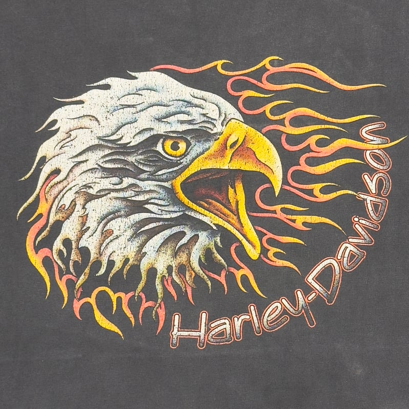 HARLEY DAVIDSON EAGLE FLAME BARNETT EL PASO TEX