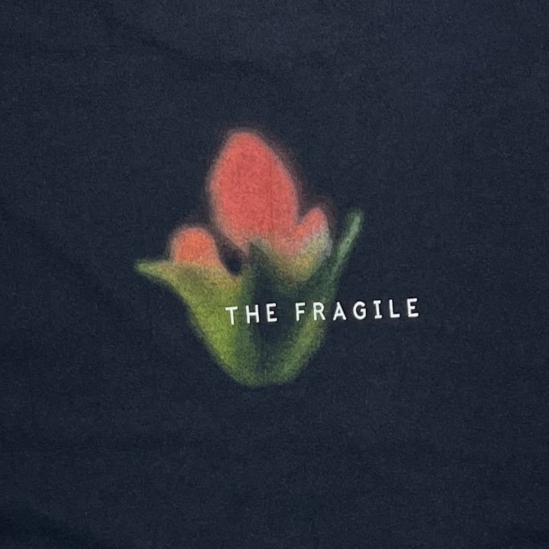 N*R様 THE FRAGILE/NINE INCH NAILS NINE INCH NAILS THE FRAGILE BROKEN BOX LOGO ALL