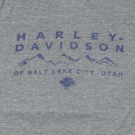 HARLEY DAVIDSON FRONT V FLAME SALTLAKESITY UTAH LS ASH GREY XL 7924