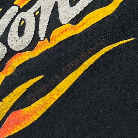 HARLEY DAVIDSON 1991 EAGLE FLAME COLORADO LS LARGE 5961