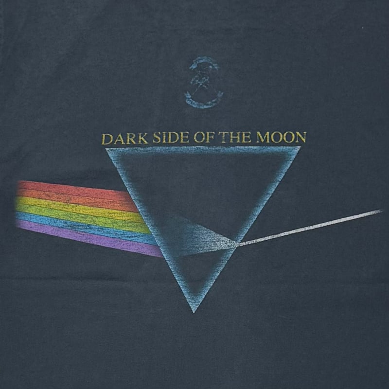 PINK FLOYD Y2K DARK SIDE OF THE MOON FITS MEDIU