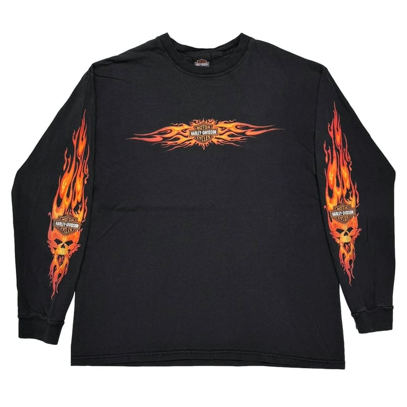 HARLEY DAVIDSON 2002 FLAME SKULL SLEEVES HOLLYW