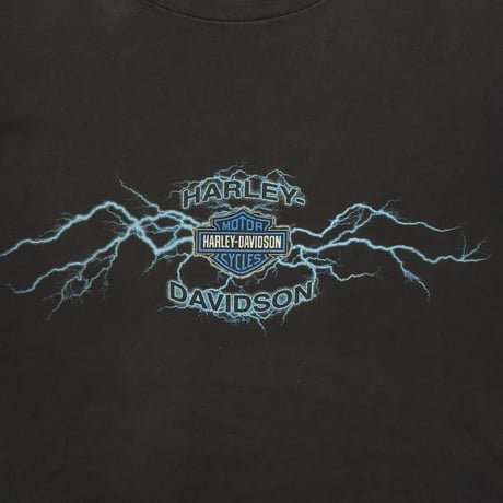 HARLEY DAVIDSON BLUE LIGHTNING THUNDER EMBLEM LS FITS XL 7395