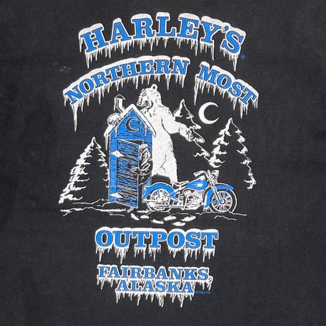 HARLEY DAVIDSON LEGENDS LIVE WHERE LEGENDS ROAM LARGE 2737