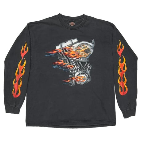 HARLEY DAVIDSON 2001 ENGINE FLAME LS BACK APPLETON EMBLEM XL 5029