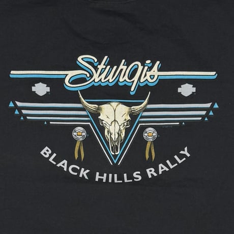 HARLEY DAVIDSON 1996 STURGIS BLUE FLAME SOUTH DAKOTA LS LARGE 3021