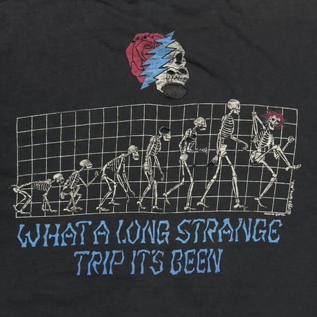 GRATEFUL DEAD 1993 WHAT A LONG STRANGE TRIP IT'S BEEN LIQUID BLUE LARGE 6981