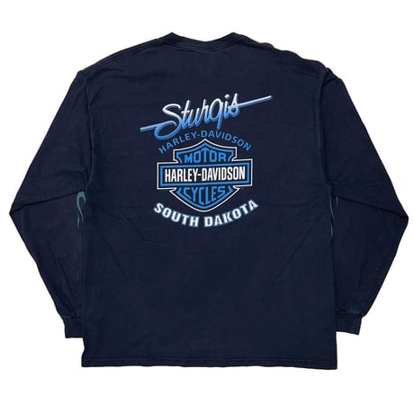 HARLEY DAVIDSON 2000 STUGIS BLUE ARM FLAMING SOUTH DAKOTA LS NAVY HANES XL 8734