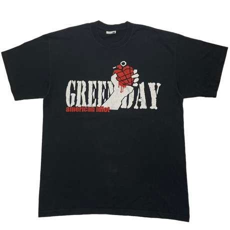 GREEN DAY AMERICAN IDIOT LARGE 8925