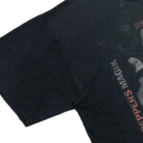 RED HOT CHILI PEPPERS Y2K BLOOD SUGAR SEX MAGIK GILDAN XL 8369