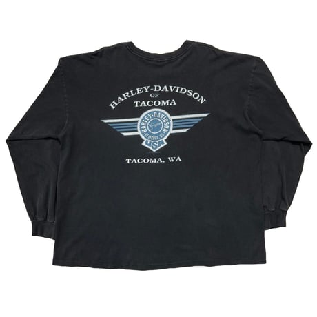 HARLEY DAVIDSON CHROME SWEET CHROME LS XL 5519