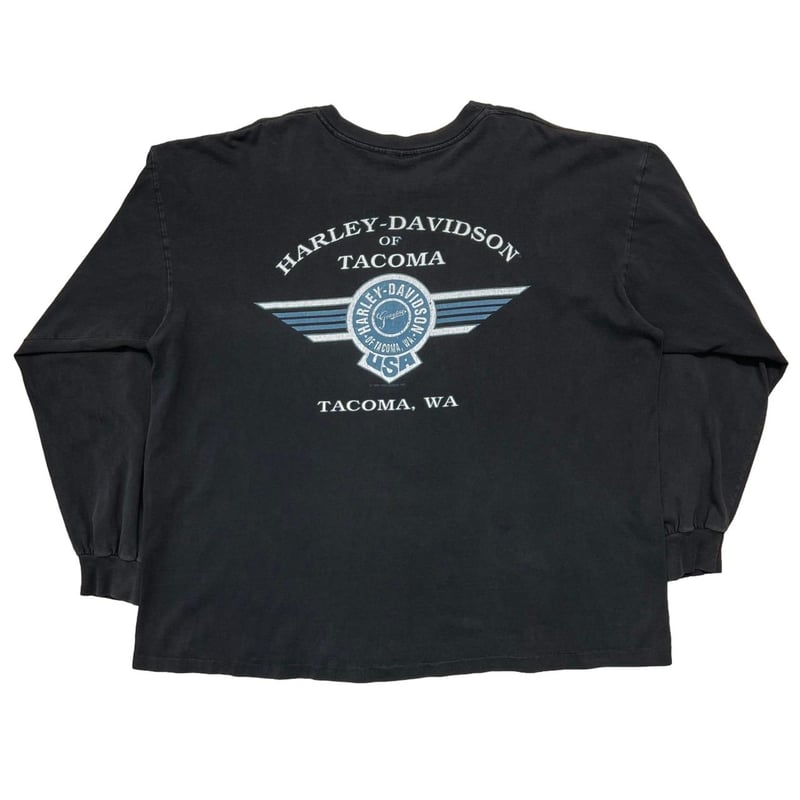 HARLEY DAVIDSON CHROME SWEET CHROME LS XL 5519
