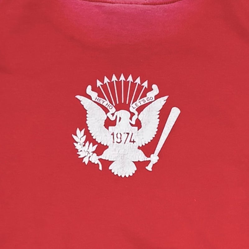 最終お値下げ❗️古着屋購入RAMONES Gabba Gabba Hey! 　M RAMONES gabba gabba hey RED MEDIUM 8681 | great