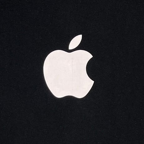 Apple CENTER BIG APPLE LOGO BLACK HANES XL 8405