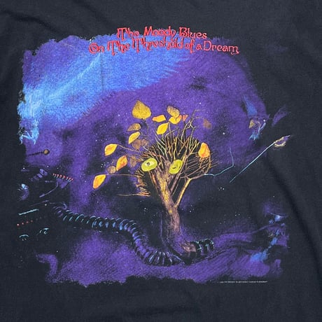 THE MOODY BLUES DOUBLE SIDE BROCKUM OSFA FITS XL 8799