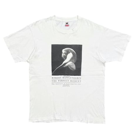 ROBERT MAPPLETHORPE THE PERFECT MOMENT FRUIT OF THE LOOM XL 0161