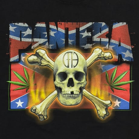 PANTERA COWBOYS FROM HELL TOUR FLAG & SKULL WINTER LAND XL 6444