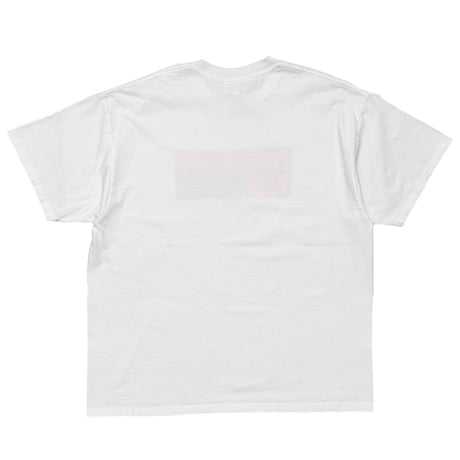 BIOHAZARD 2002 BOX LOGO BIOLOGICAL HAZARD WHITE DELTA XL 0424