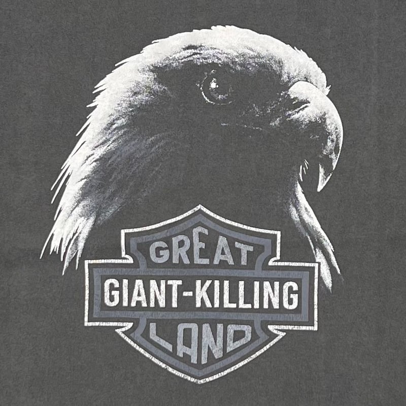 greatLAnd ORIGINAL KIMERA HD LS × ONEITA 10YEAR