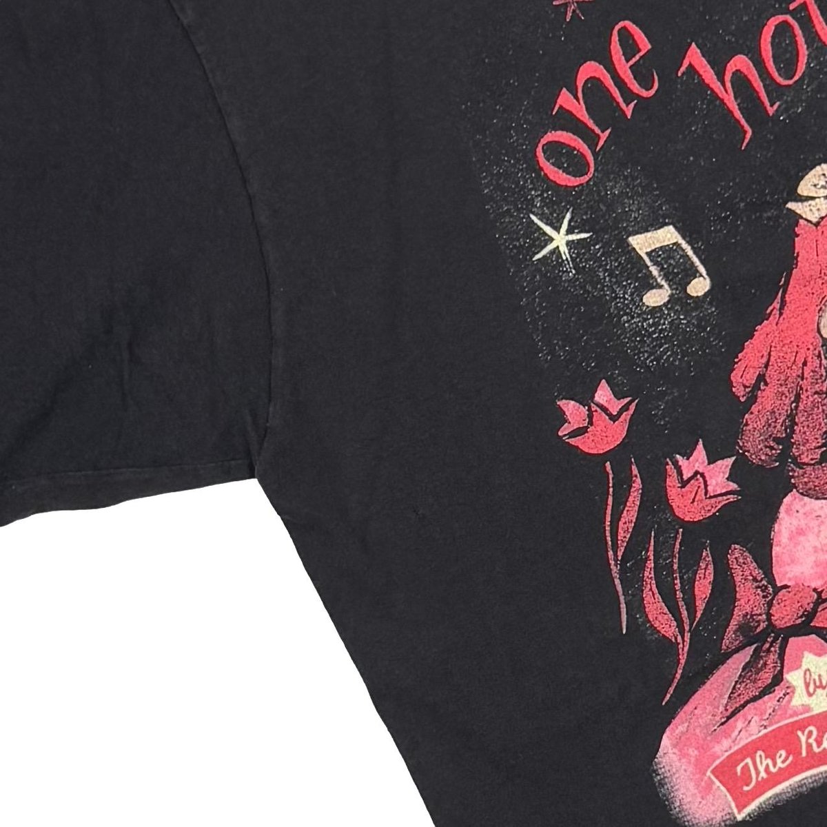 【ヴィンテージ】Red Hot Chili Peppers 【公式正規品】 RED HOT CHILI PEPPERS 2007 TOUR BOOTLEG DELTA 2