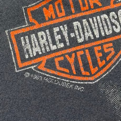 HARLEY DAVIDSON HUGE EAGLE HEAD MILLS 1992 LARGE 4646