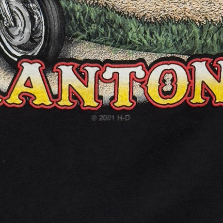 HARLEY DAVIDSON 2001 ENGINE FLAME LS ELECTRIC CITY SCRANTON XXL 5369