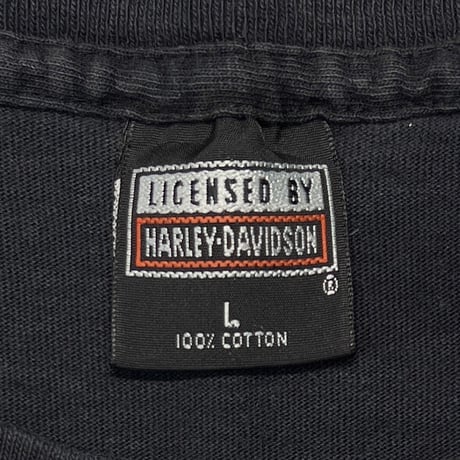 HARLEY DAVIDSON BLUE WOLF LARGE 2738