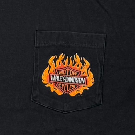 HARLEY DAVIDSON POCKET FLAME SOUTH COAST EAGLE LARGE 5452